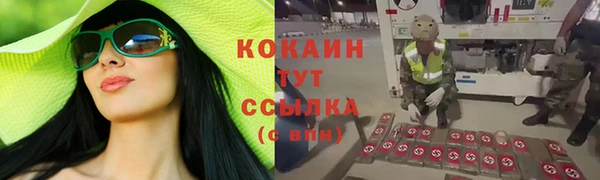 МДПВ Абаза