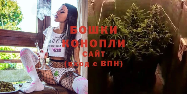 сатива Абдулино