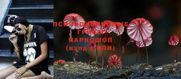 МДПВ Абаза